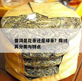 普洱是花茶还是绿茶？探讨其分类与特点