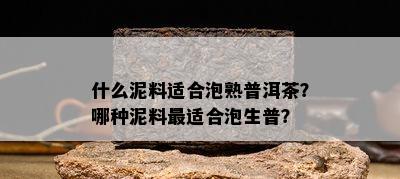 什么泥料适合泡熟普洱茶？哪种泥料最适合泡生普？