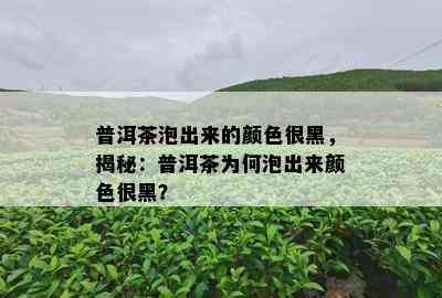 普洱茶泡出来的颜色很黑，揭秘：普洱茶为何泡出来颜色很黑？