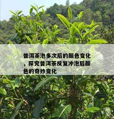 普洱茶泡多次后的颜色变化，探究普洱茶反复冲泡后颜色的奇妙变化