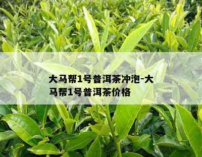 大马帮1号普洱茶冲泡-大马帮1号普洱茶价格