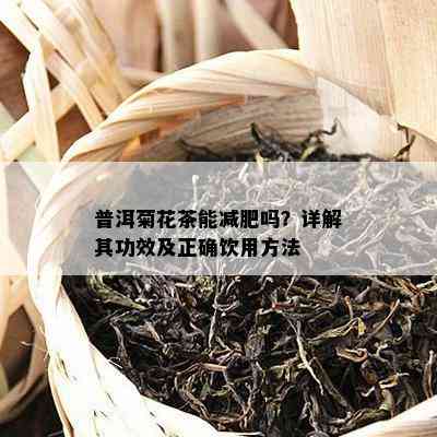 普洱菊花茶能减肥吗？详解其功效及正确饮用方法