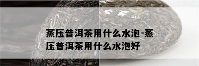 蒸压普洱茶用什么水泡-蒸压普洱茶用什么水泡好