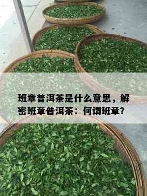 班章普洱茶是什么意思，解密班章普洱茶：何谓班章？