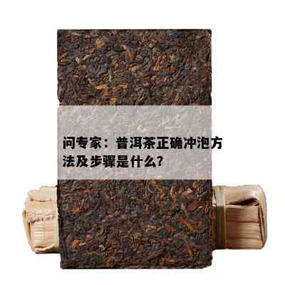 问专家：普洱茶正确冲泡方法及步骤是什么？