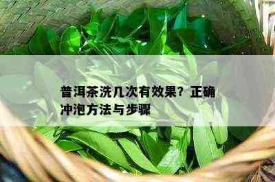 普洱茶洗几次有效果？正确冲泡方法与步骤