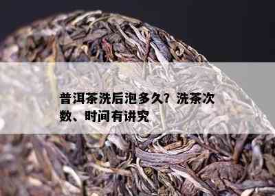 普洱茶洗后泡多久？洗茶次数、时间有讲究