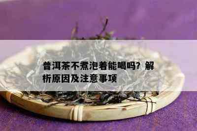 普洱茶不煮泡着能喝吗？解析原因及注意事项