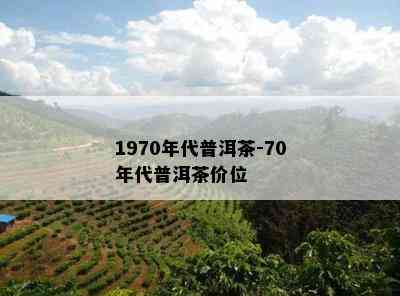 1970年代普洱茶-70年代普洱茶价位