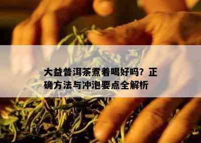 大益普洱茶煮着喝好吗？正确方法与冲泡要点全解析