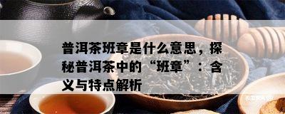 普洱茶班章是什么意思，探秘普洱茶中的“班章”：含义与特点解析