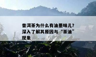 普洱茶为什么有油墨味儿？深入了解其原因与“茶油”现象