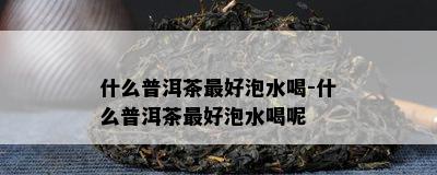 什么普洱茶更好泡水喝-什么普洱茶更好泡水喝呢