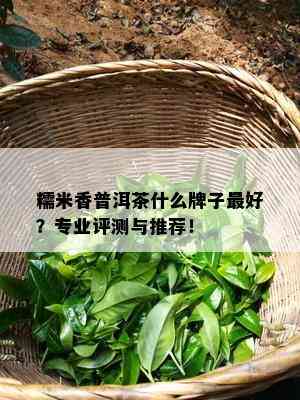 糯米香普洱茶什么牌子更好？专业评测与推荐！