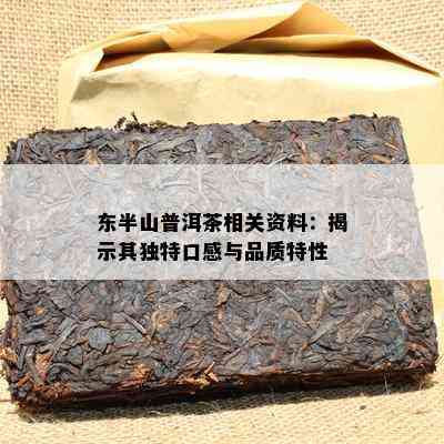 东半山普洱茶相关资料：揭示其独特口感与品质特性