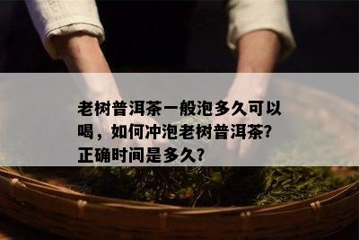 老树普洱茶一般泡多久可以喝，如何冲泡老树普洱茶？正确时间是多久？