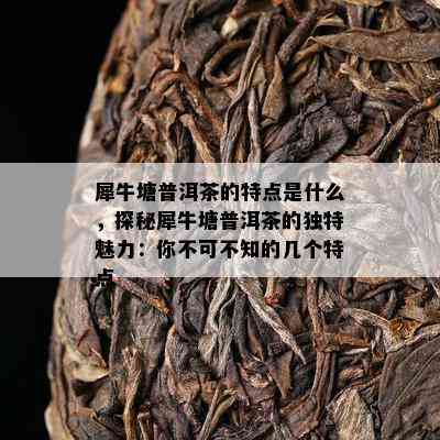 犀牛塘普洱茶的特点是什么，探秘犀牛塘普洱茶的独特魅力：你不可不知的几个特点