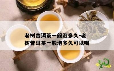 老树普洱茶一般泡多久-老树普洱茶一般泡多久可以喝