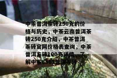 中茶普洱茶砖250克的价格与历史，中茶云南普洱茶砖250克介绍，中茶普洱茶砖官网价格表查询，中茶普洱方砖100克详情，了解中茶8361普洱茶砖