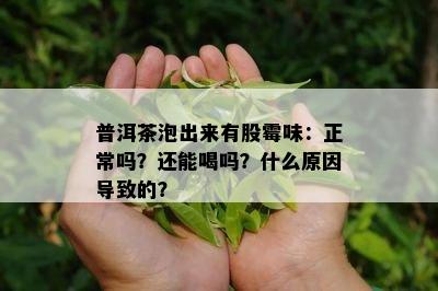 普洱茶泡出来有股霉味：正常吗？还能喝吗？什么原因导致的？