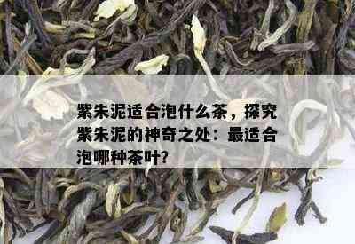 紫朱泥适合泡什么茶，探究紫朱泥的神奇之处：最适合泡哪种茶叶？