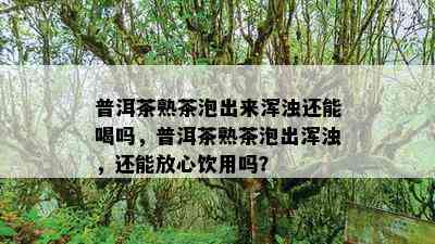 普洱茶熟茶泡出来浑浊还能喝吗，普洱茶熟茶泡出浑浊，还能放心饮用吗？