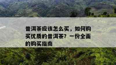 普洱茶应该怎么买，如何购买优质的普洱茶？一份全面的购买指南