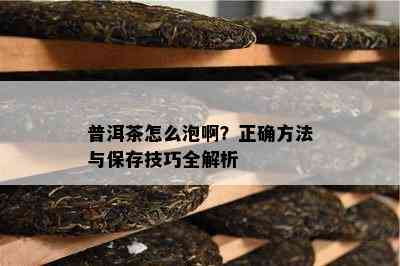 普洱茶怎么泡啊？正确方法与保存技巧全解析