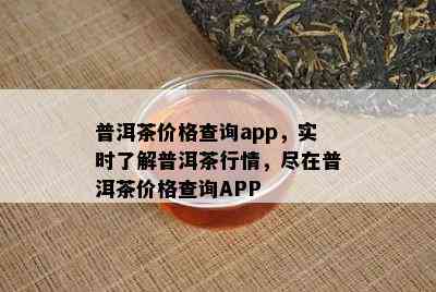 普洱茶价格查询app，实时了解普洱茶行情，尽在普洱茶价格查询APP