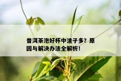 普洱茶泡好杯中渣子多？原因与解决办法全解析！