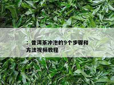 ：普洱茶冲泡的9个步骤和方法视频教程