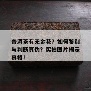 普洱茶有无金花？如何鉴别与判断真伪？实拍图片揭示真相！