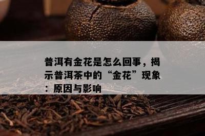 普洱有金花是怎么回事，揭示普洱茶中的“金花”现象：原因与影响