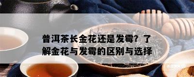 普洱茶长金花还是发霉？了解金花与发霉的区别与选择