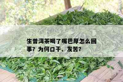 生普洱茶喝了嘴巴厚怎么回事？为何口干、发苦？