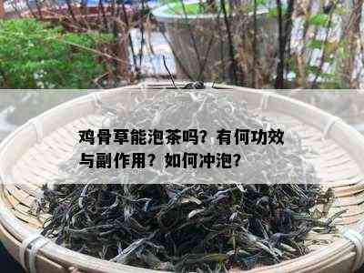 鸡骨草能泡茶吗？有何功效与副作用？如何冲泡？