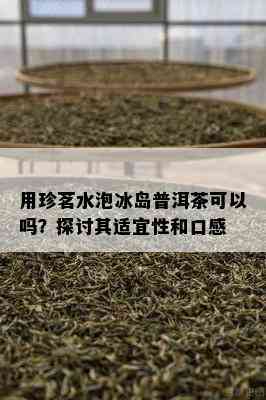 用珍茗水泡冰岛普洱茶可以吗？探讨其适宜性和口感