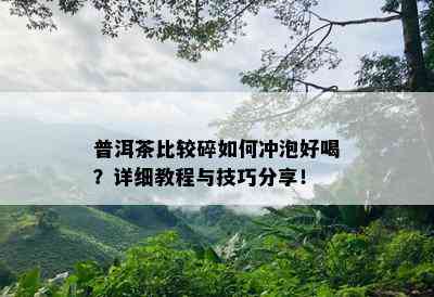 普洱茶比较碎如何冲泡好喝？详细教程与技巧分享！