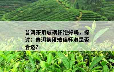 普洱茶用玻璃杯泡好吗，探讨：普洱茶用玻璃杯泡是否合适？