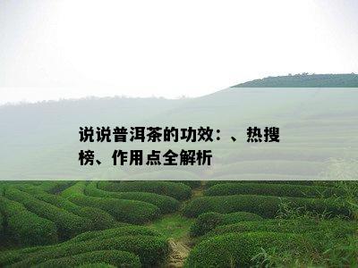 说说普洱茶的功效：、热搜榜、作用点全解析