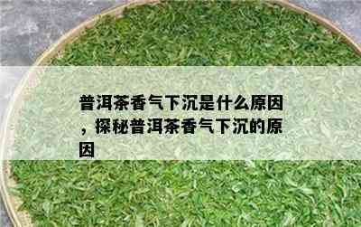 普洱茶香气下沉是什么原因，探秘普洱茶香气下沉的原因