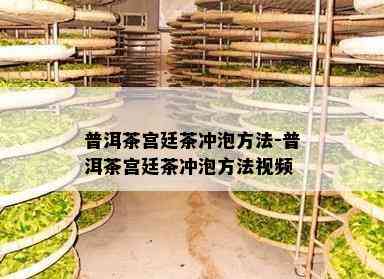 普洱茶宫廷茶冲泡方法-普洱茶宫廷茶冲泡方法视频