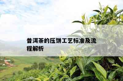 普洱茶的压饼工艺标准及流程解析