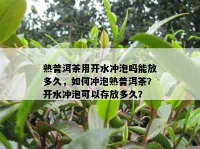 熟普洱茶用开水冲泡吗能放多久，如何冲泡熟普洱茶？开水冲泡可以存放多久？