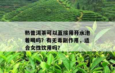 熟普洱茶可以直接用开水泡着喝吗？有无副作用，适合女性饮用吗？