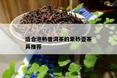 适合泡熟普洱茶的紫砂壶茶具推荐