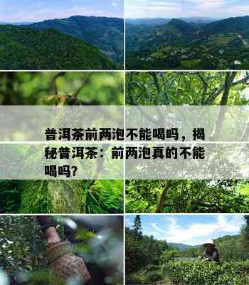 普洱茶前两泡不能喝吗，揭秘普洱茶：前两泡真的不能喝吗？