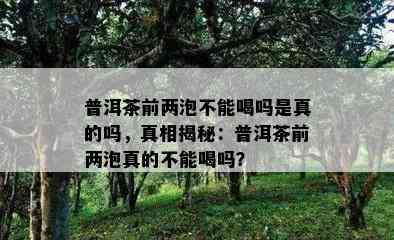 普洱茶前两泡不能喝吗是真的吗，真相揭秘：普洱茶前两泡真的不能喝吗？