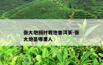 张大炮回村教泡普洱茶-张大炮是哪里人