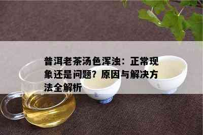 普洱老茶汤色浑浊：正常现象还是问题？原因与解决方法全解析